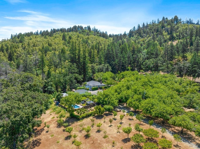 1300 Ink Grade Rd, Pope Valley, CA 94567 - aerial view of a forest