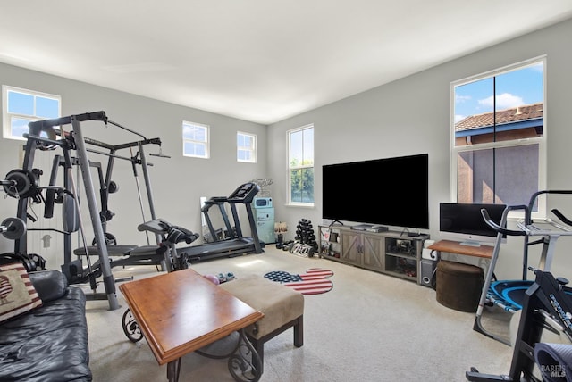 644 Canterbury Cir, Vacaville, CA 95687 - living room with healthy amount of natural light and carpet floors