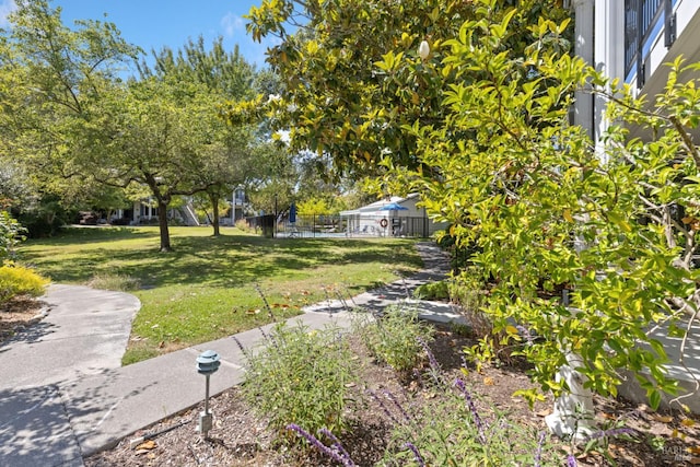 7771 Healdsburg Ave Unit 22, Sebastopol, CA 95472 - view of yard