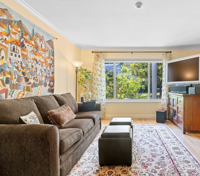 7771 Healdsburg Ave Unit 22, Sebastopol, CA 95472 - living room with wood finished floors and ornamental molding