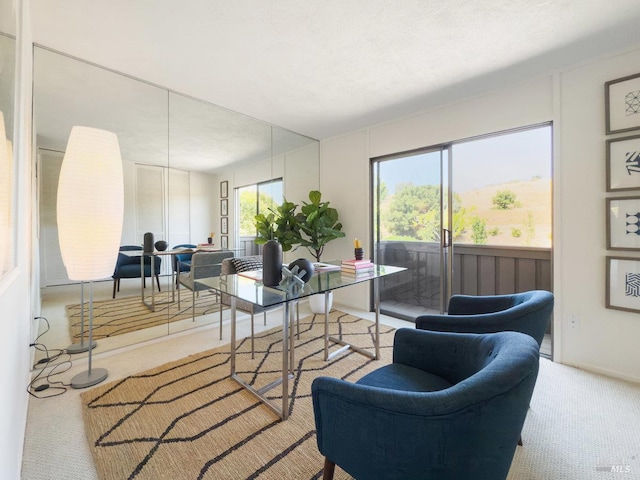 15 Sulgrave Ln, San Rafael, CA 94901 - view of carpeted living area