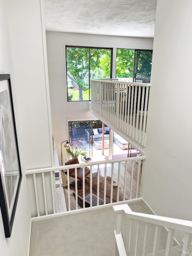 15 Sulgrave Ln, San Rafael, CA 94901 - stairs with healthy amount of natural light and carpet