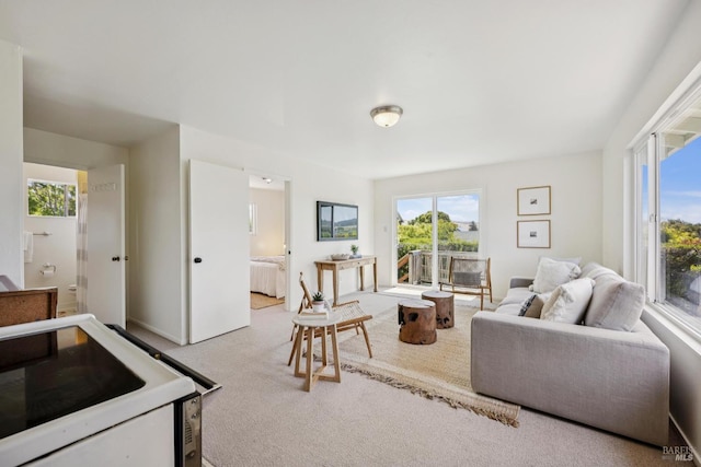 160 3rd St, Point Reyes Station, CA 94956 - carpeted living area with radiator