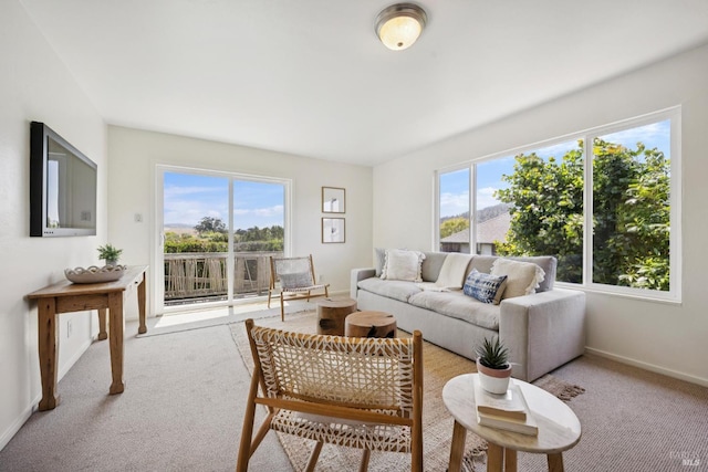 160 3rd St, Point Reyes Station, CA 94956 - living area featuring carpet