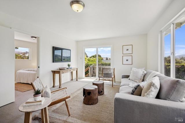 160 3rd St, Point Reyes Station, CA 94956 - living area with healthy amount of natural light and carpet flooring