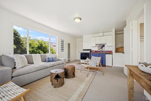 160 3rd St, Point Reyes Station, CA 94956 - living room featuring a heating unit and light colored carpet