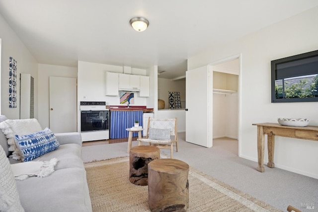 160 3rd St, Point Reyes Station, CA 94956 - living area featuring light colored carpet and baseboards