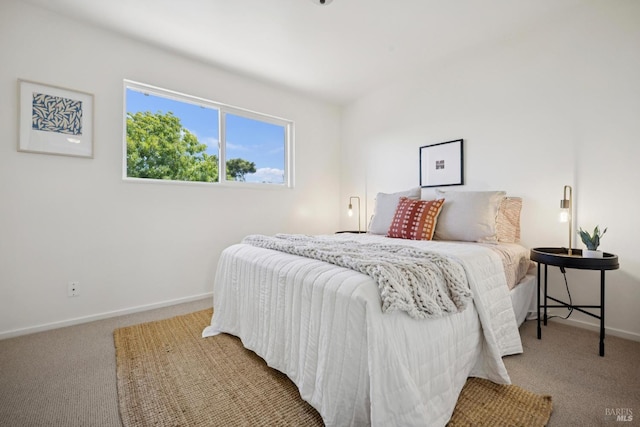 160 3rd St, Point Reyes Station, CA 94956 - bedroom with carpet floors and baseboards