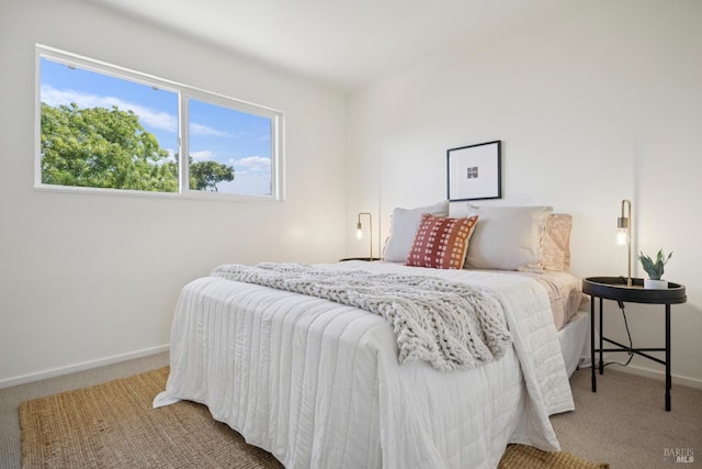160 3rd St, Point Reyes Station, CA 94956 - bedroom featuring carpet floors and baseboards