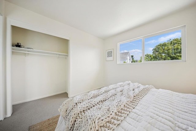160 3rd St, Point Reyes Station, CA 94956 - bedroom with carpet flooring and a closet