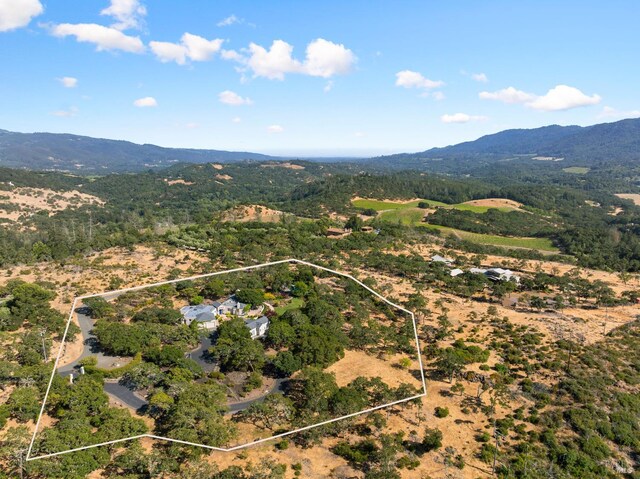9730 Via Bella Vis, Kenwood, CA 95452