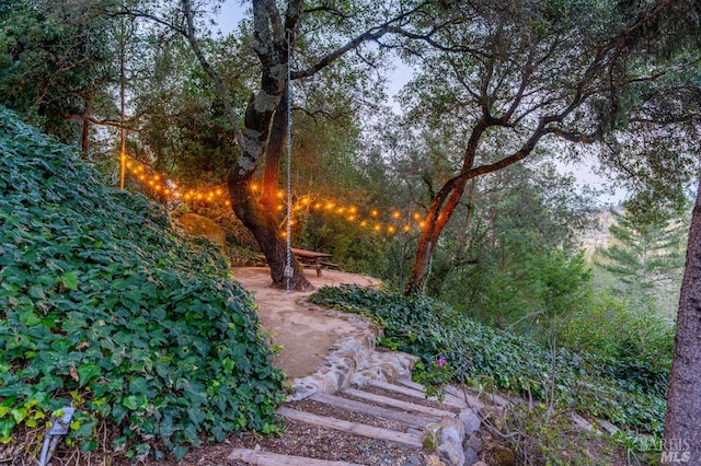 1325 Crestmont Dr, Angwin, CA 94508 - view of yard featuring a patio area