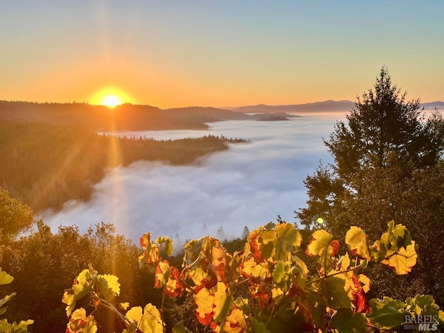 1325 Crestmont Dr, Angwin, CA 94508 - water view