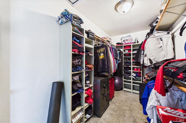 2393 Ohio St, Eureka, CA 95501 - spacious closet featuring carpet flooring