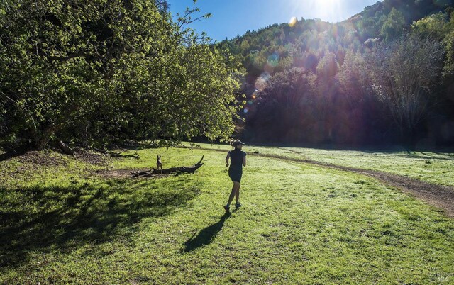 23 Hillside Dr, Fairfax, CA 94930 - view of grassy yard with a mountain view and a forest view