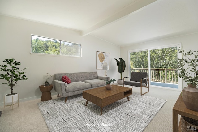 23 Hillside Dr, Fairfax, CA 94930 - carpeted living area featuring plenty of natural light