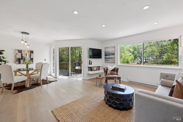 14 Corte Real Ct, Greenbrae, CA 94904 - living room with a baseboard radiator, plenty of natural light, light wood-style flooring, recessed lighting, and a glass covered fireplace
