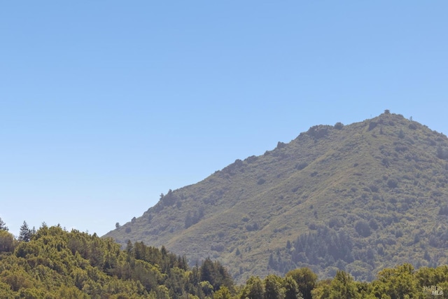 14 Corte Real Ct, Greenbrae, CA 94904 - mountain view featuring a forest