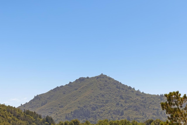 14 Corte Real Ct, Greenbrae, CA 94904 - view of mountain backdrop with a heavily wooded area