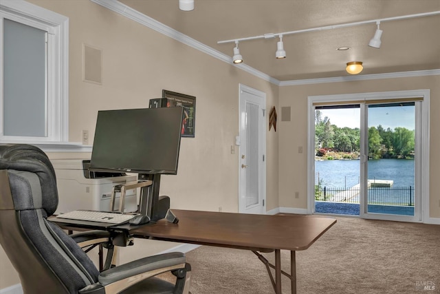 18903 N Shore Dr, Hidden Valley Lake, CA 95467 - office space featuring rail lighting, crown molding, and carpet floors