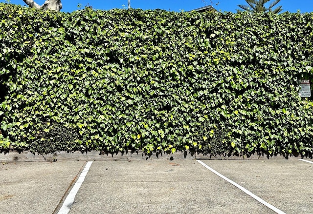 495 S Eliseo Dr Unit 7, Greenbrae, CA 94904 - detailed view of a parking lot
