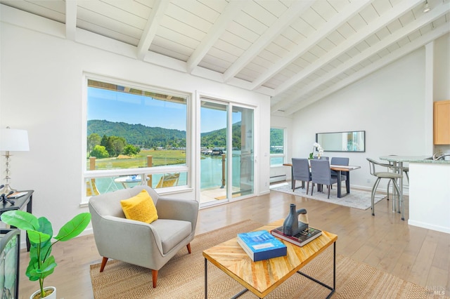 495 S Eliseo Dr Unit 7, Greenbrae, CA 94904 - living area featuring light wood finished floors, a wood ceiling with exposed beams, and high vaulted ceiling