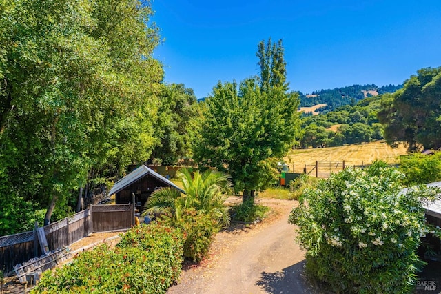 5820 Ruddock Rd N, Philo, CA 95466 - view of yard featuring a forest view