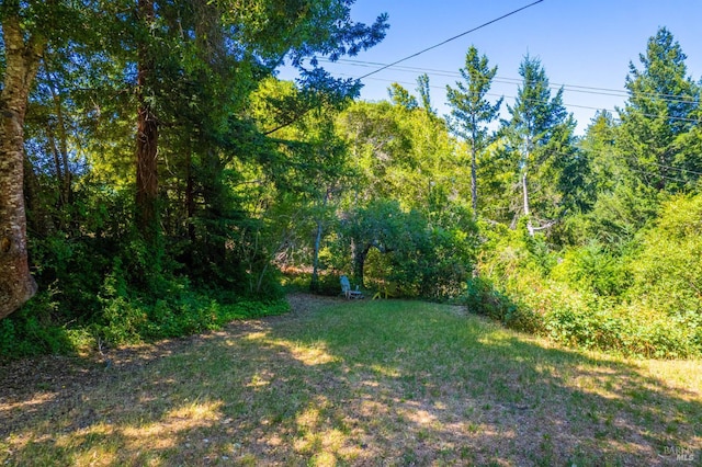 5820 Ruddock Rd N, Philo, CA 95466 - view of green lawn with a wooded view
