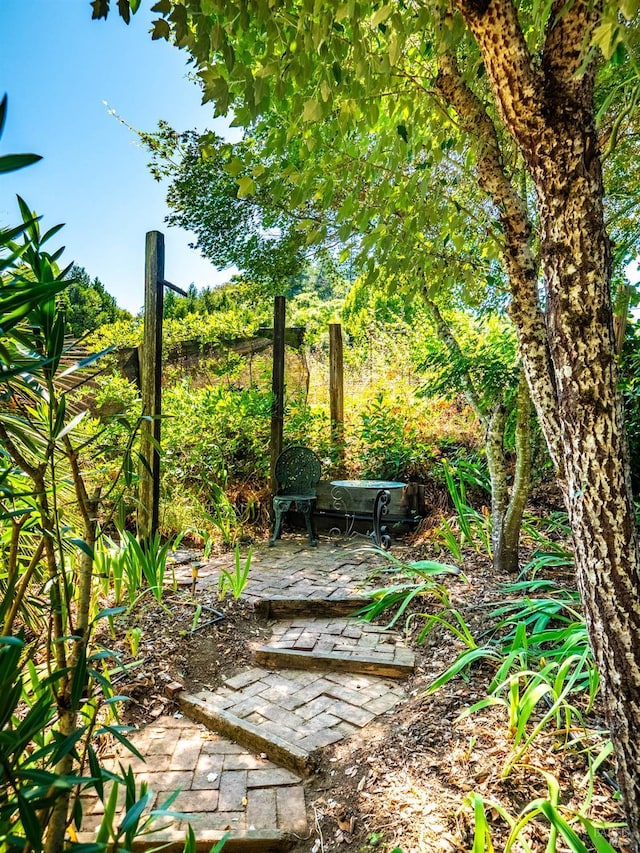 5820 Ruddock Rd N, Philo, CA 95466 - view of yard