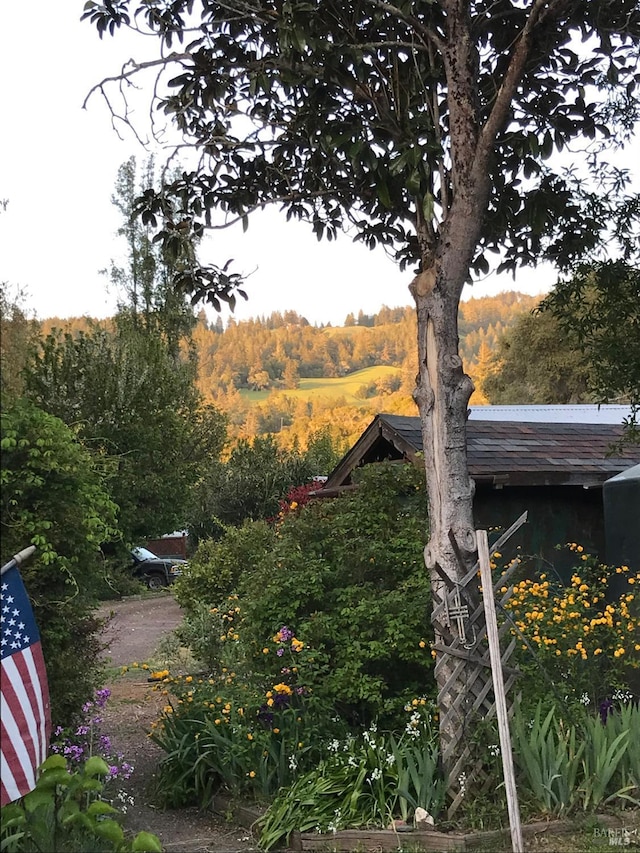 5820 Ruddock Rd N, Philo, CA 95466 - view of yard with a view of trees