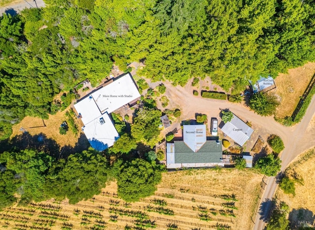 5820 Ruddock Rd N, Philo, CA 95466 - drone / aerial view