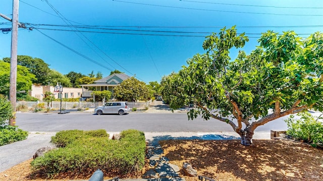 312 12th St, Petaluma, CA 94954 - view of yard