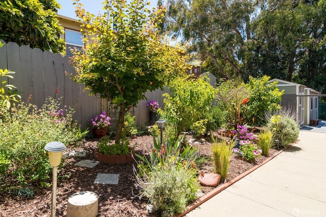 205 Cypress Ave, San Bruno, CA 94066 - view of yard featuring a storage shed