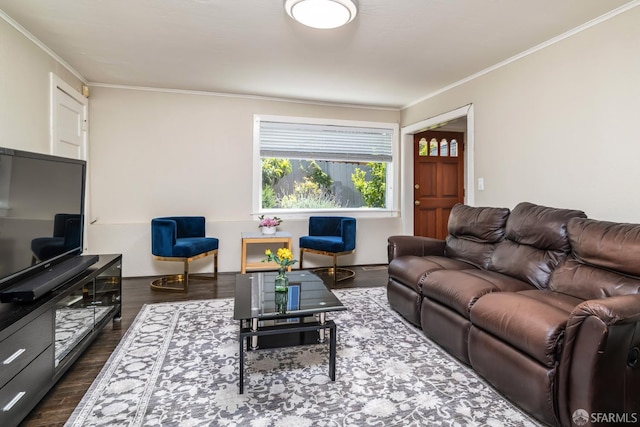 205 Cypress Ave, San Bruno, CA 94066 - living room with dark wood-style flooring and ornamental molding