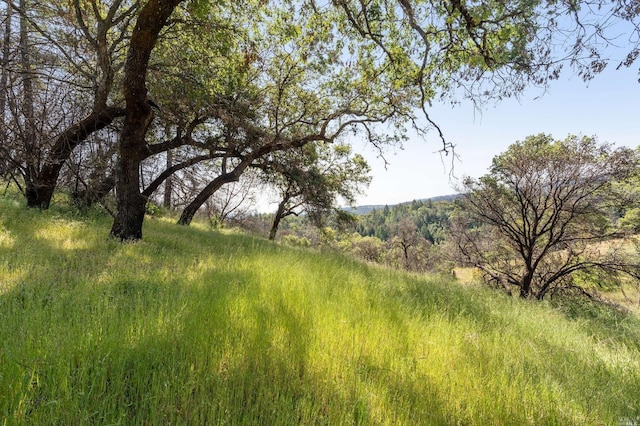 2440 Big Ridge Rd, Healdsburg, CA 95448