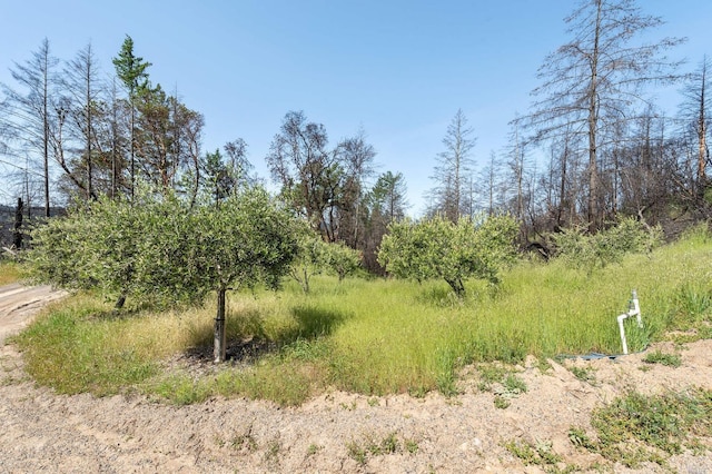 2440 Big Ridge Rd, Healdsburg, CA 95448
