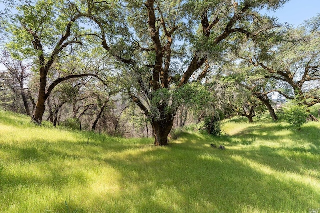 2440 Big Ridge Rd, Healdsburg, CA 95448