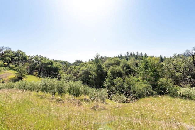 2440 Big Ridge Rd, Healdsburg, CA 95448