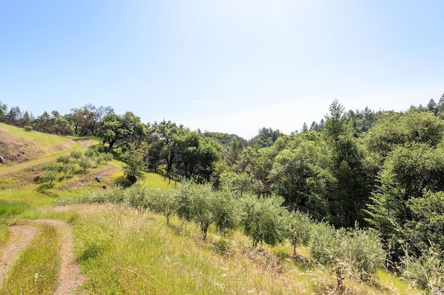 2440 Big Ridge Rd, Healdsburg, CA 95448