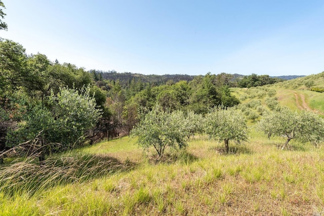 2440 Big Ridge Rd, Healdsburg, CA 95448
