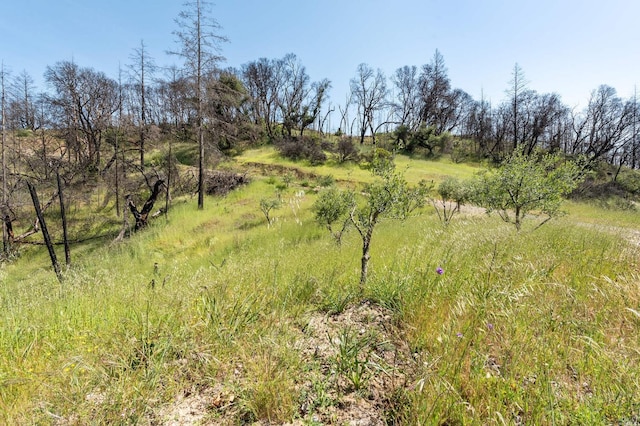 2440 Big Ridge Rd, Healdsburg, CA 95448