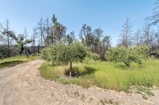 2440 Big Ridge Rd, Healdsburg, CA 95448