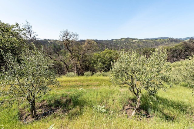 2440 Big Ridge Rd, Healdsburg, CA 95448