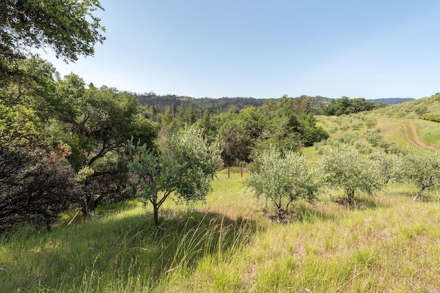 2440 Big Ridge Rd, Healdsburg, CA 95448