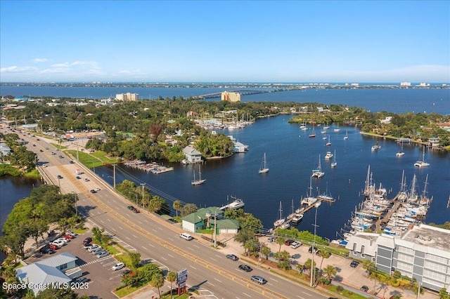 bird's eye view with a water view