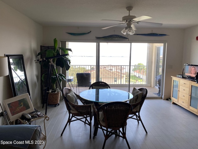 dining area featuring ceiling fan and wood-type flooring