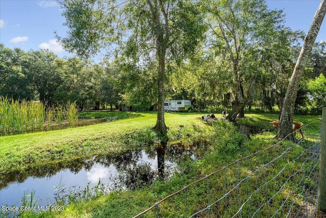 view of local wilderness with a water view