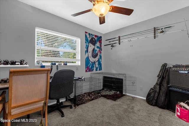 3706 Sutton Dr, Orlando, FL 32810 - office space with ceiling fan and carpet floors