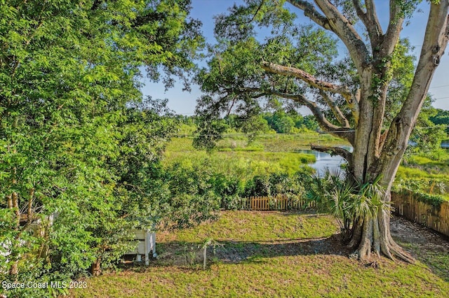 3706 Sutton Dr, Orlando, FL 32810 - view of yard