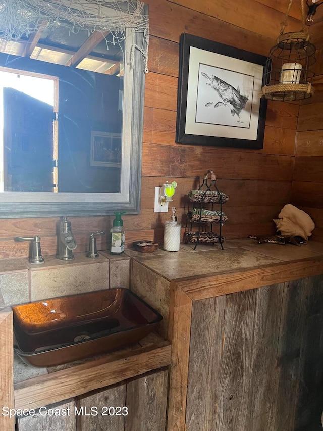 interior space featuring wood walls and sink